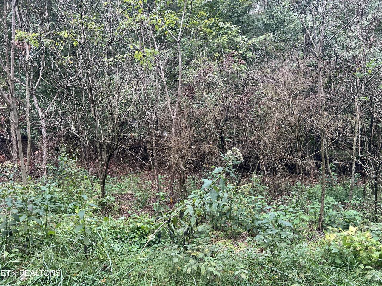 Lot 30 Ridge Drive - Photo 1