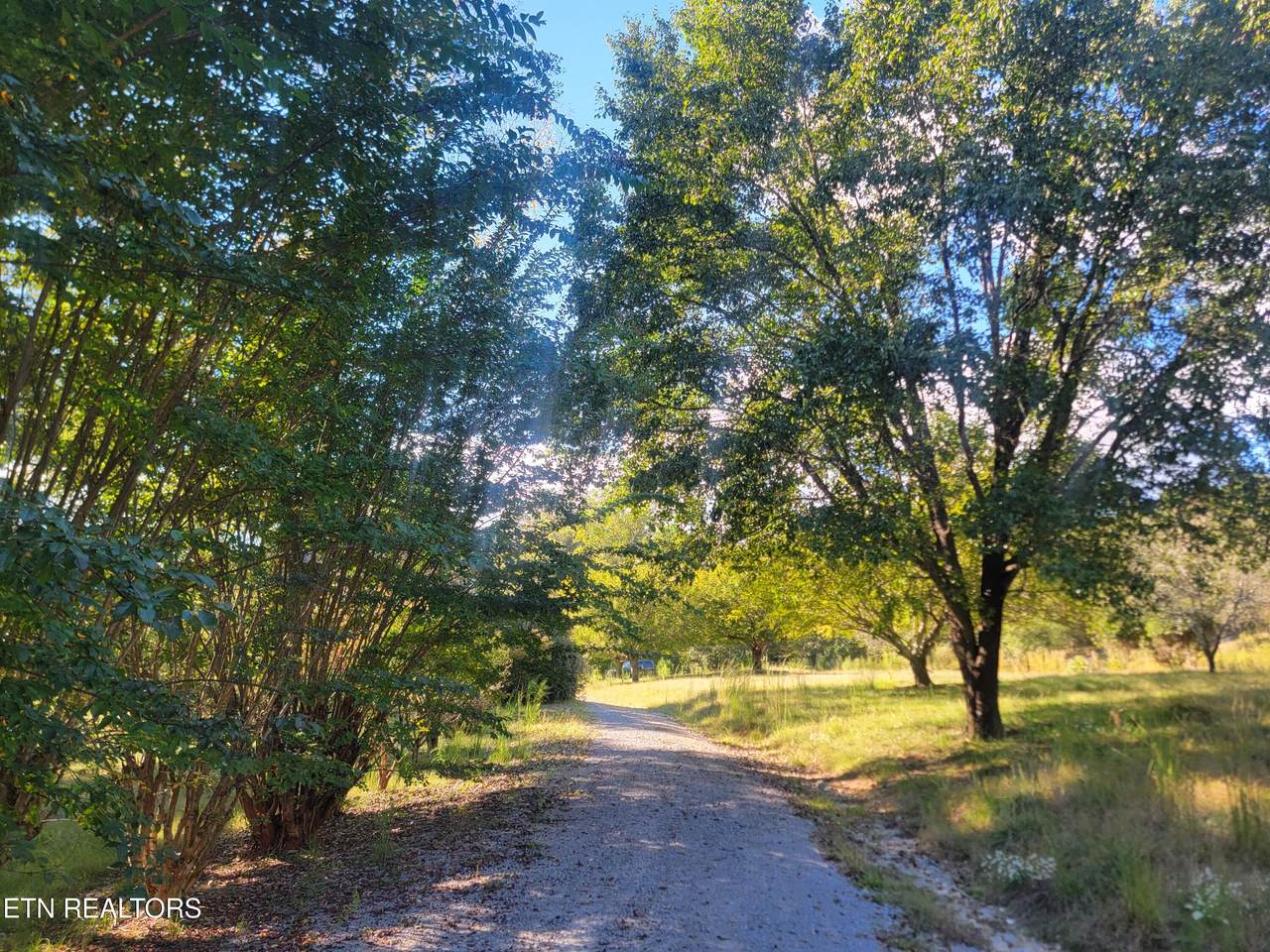 181 Sunshine Lane - Photo 1