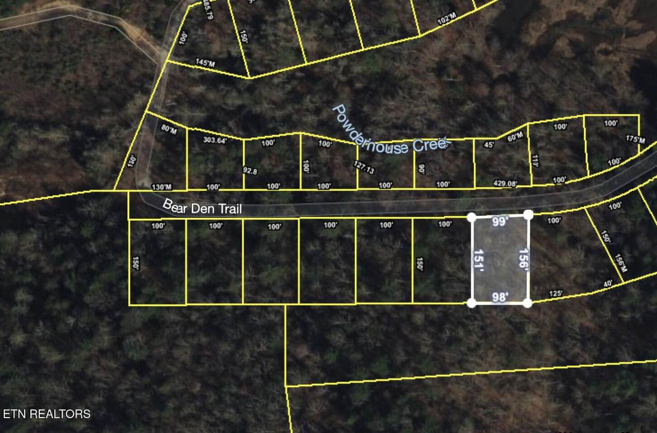  Lot 113 Bear Den Tr - Photo 1