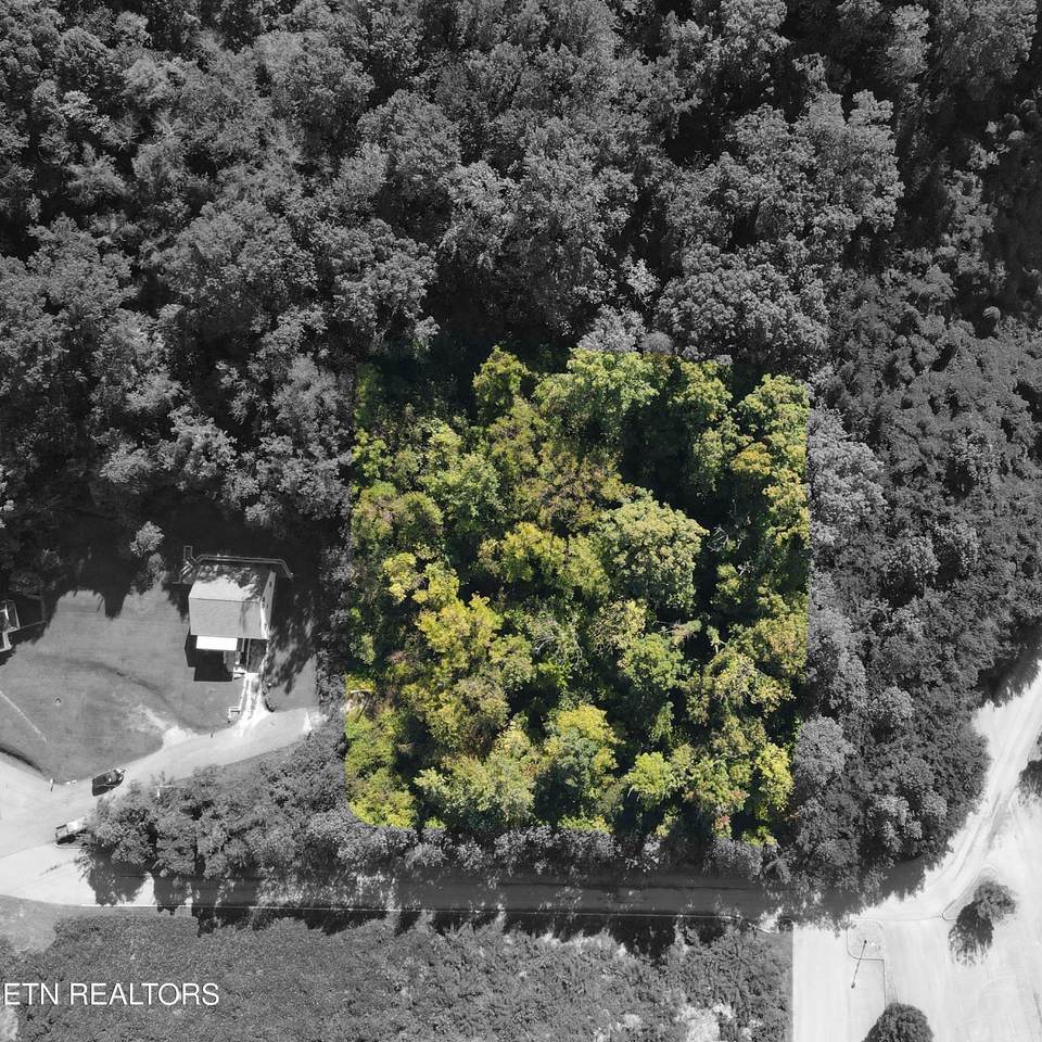  Richmond Ave - Photo 1