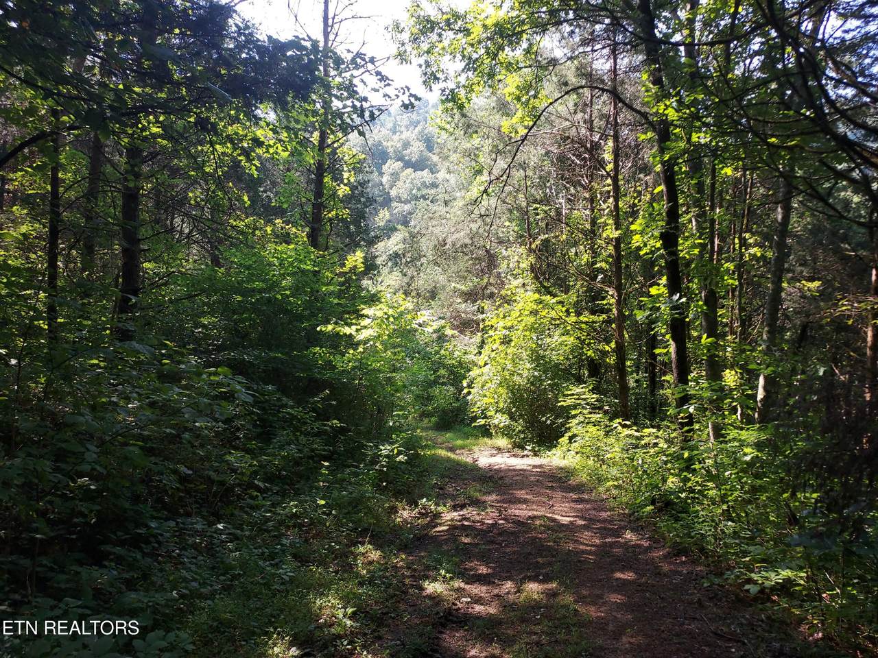 779 Pawpaw Rd - Photo 1