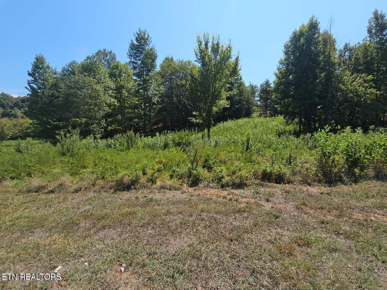 LOT 41 Meadow (W/Dock) Lane - Photo 1