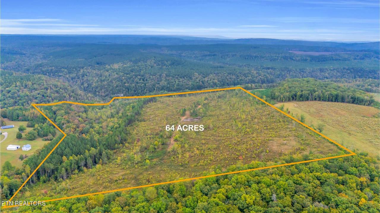 64.23 Ac Worley Rd - Photo 1