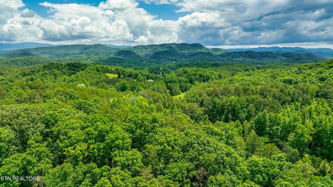 3011 Ballplay Rd - Photo 1