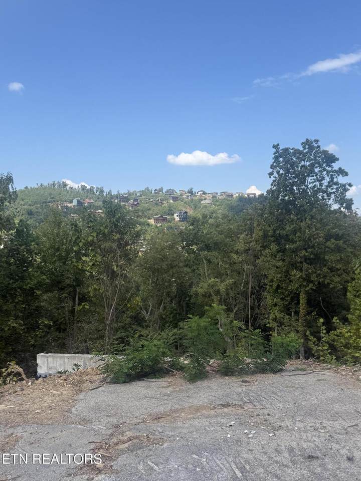 975 Cottage Gardens Way - Photo 1