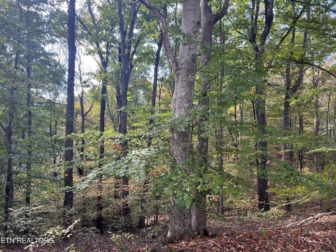 0 Brady Rd - Photo 1