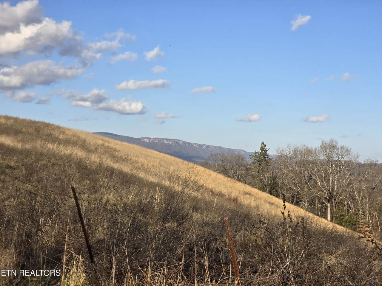 787 Oak Grove Rd - Photo 1