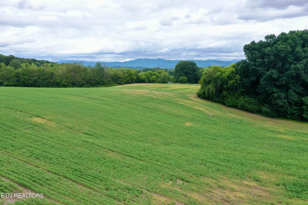 141 Saratoga Drive - Photo 1