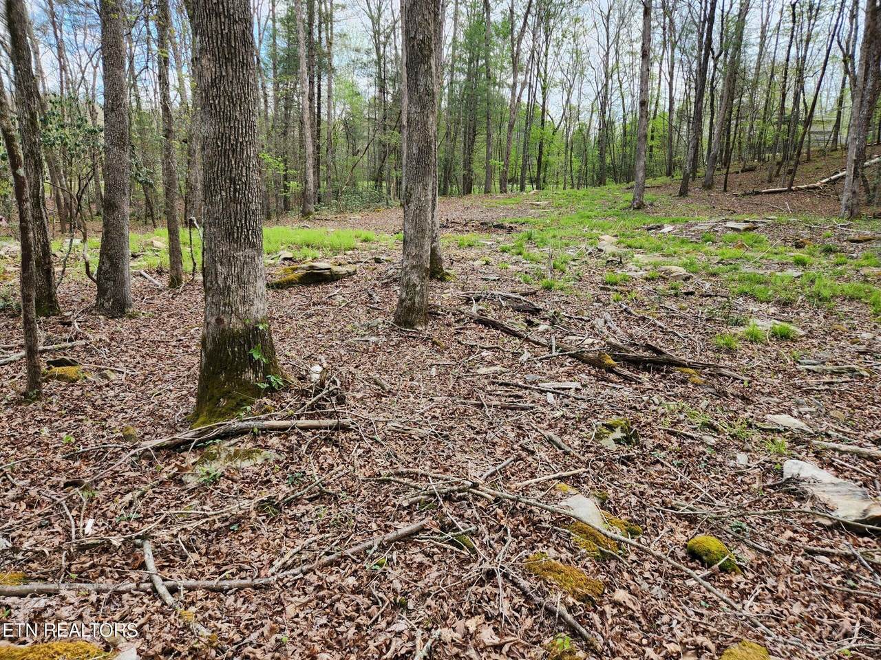 206 Goodstock Road Rd - Photo 1