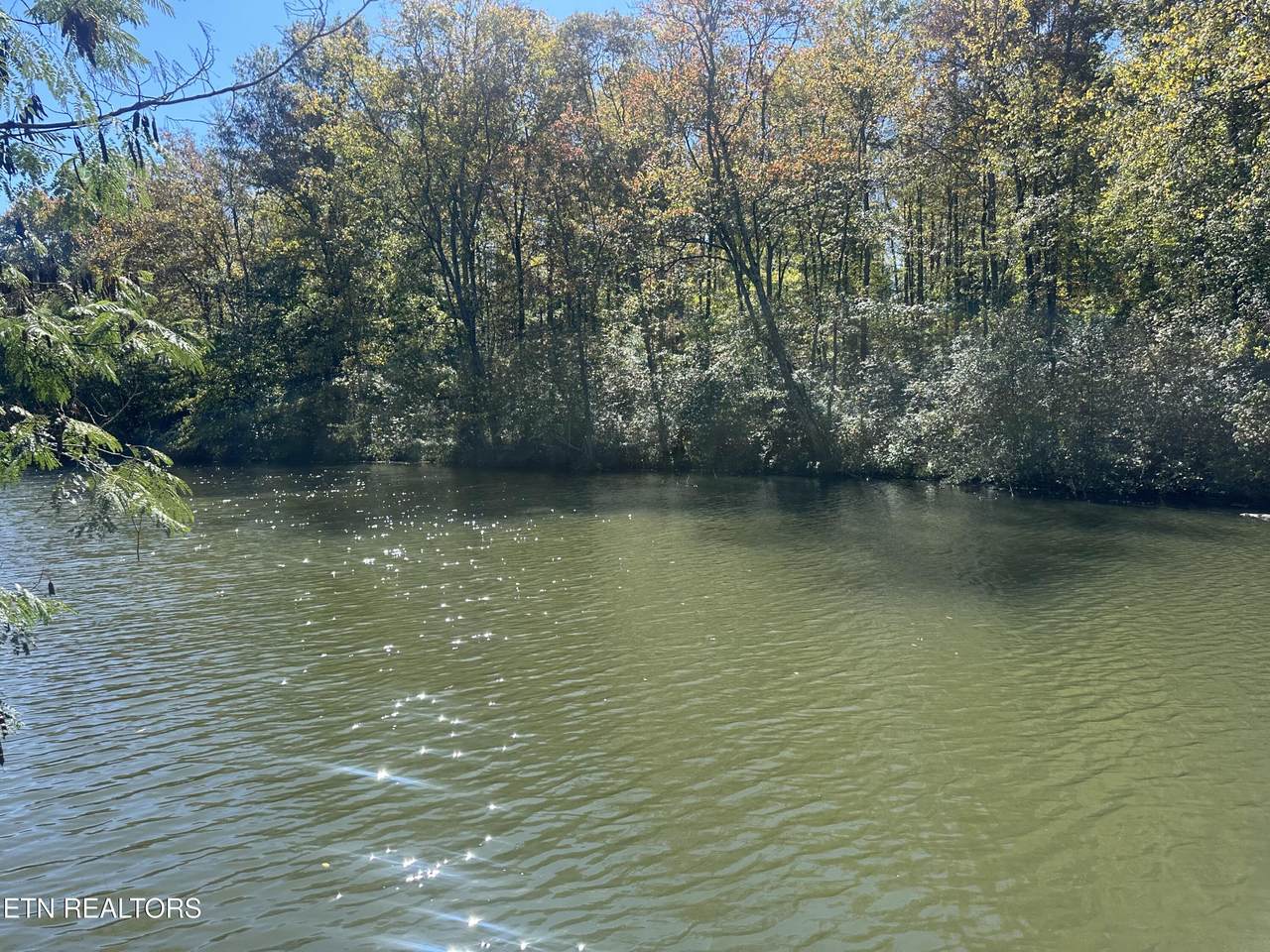 203 Blue Heron Dr. Drive - Photo 1