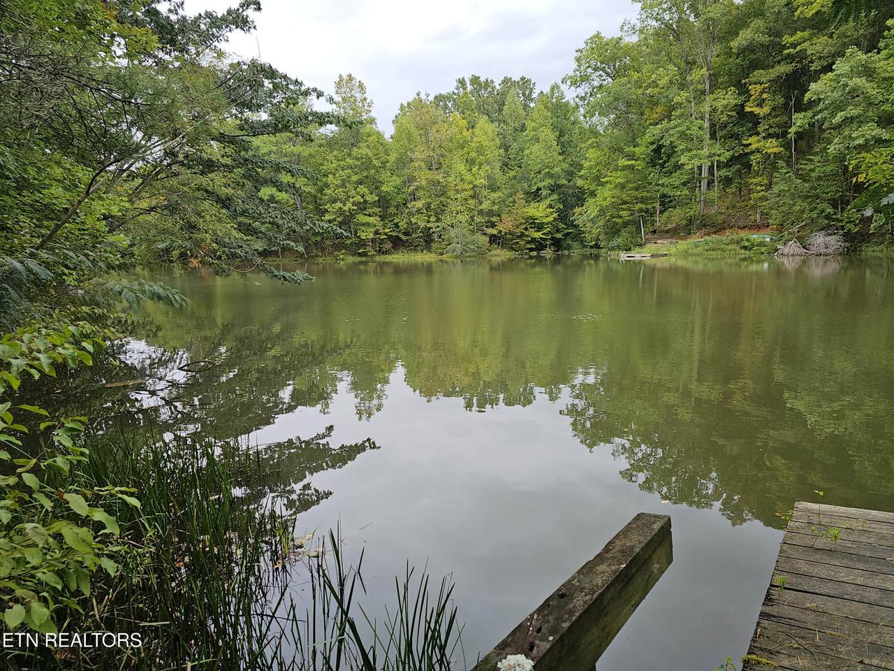 3646 Woodcove Circle - Photo 1