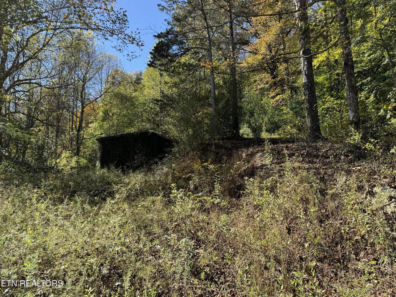 936 Stinking Creek Rd - Photo 1