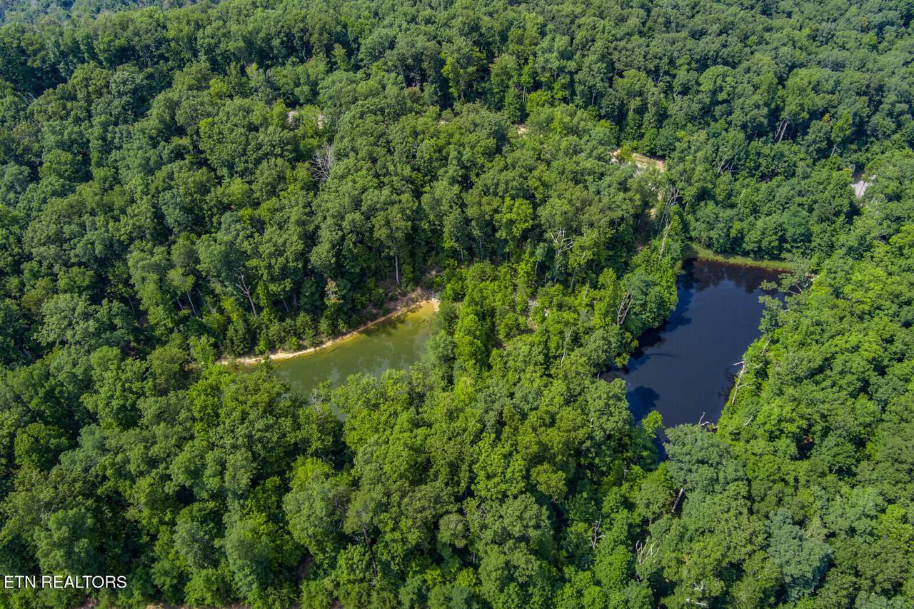 119 Westridge Tr - Photo 1