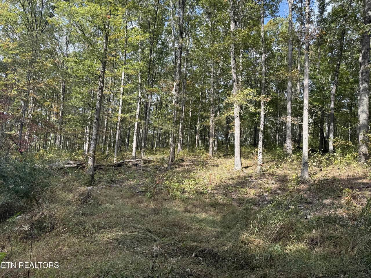  Allardt Hwy Hwy - Photo 1