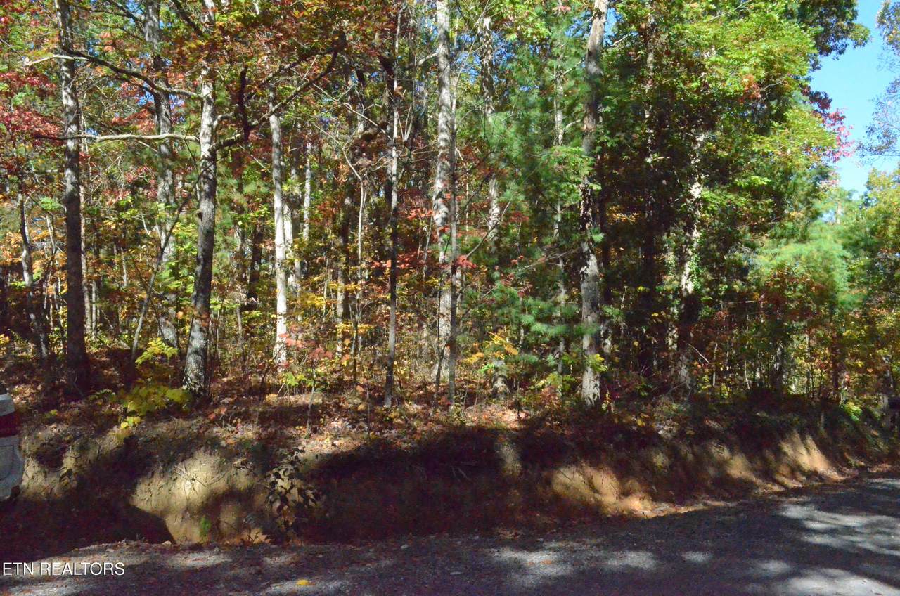  Lakeshore Drive - Photo 1