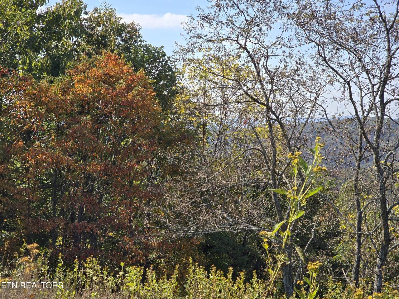 https://bt-photos.global.ssl.fastly.net/kaar/1280_boomver_1_1319729-2.jpg