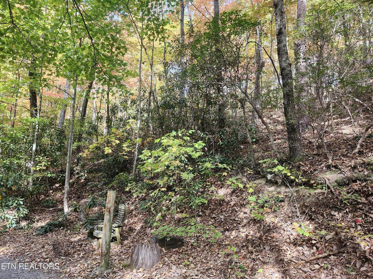 Lot 11 Bluff Mtn. Rd. - Photo 1
