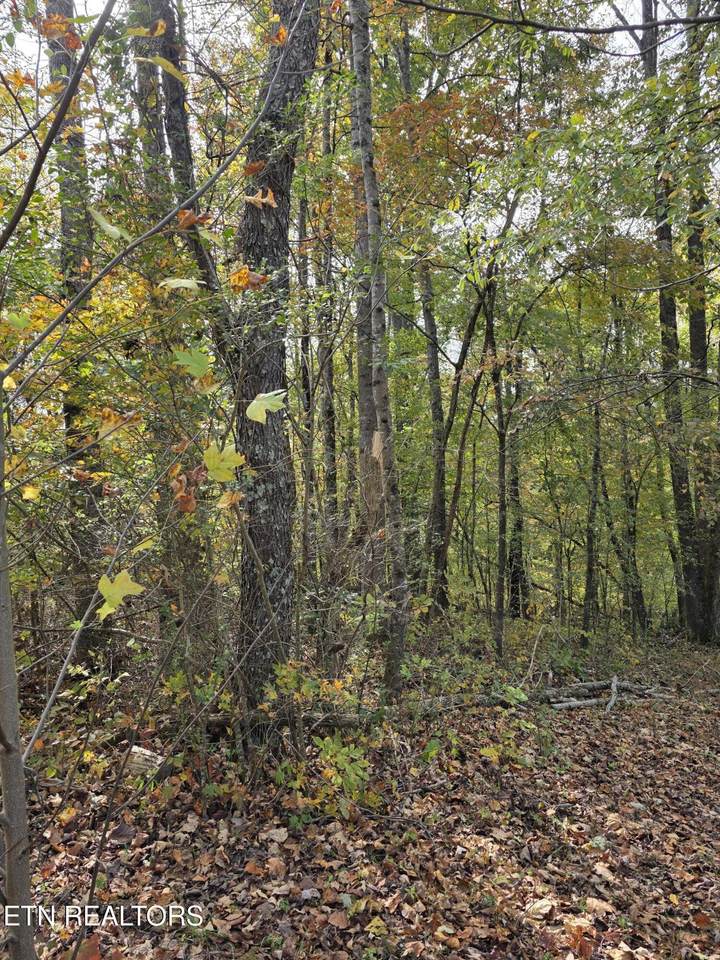 2310 Roseberry Rd - Photo 1