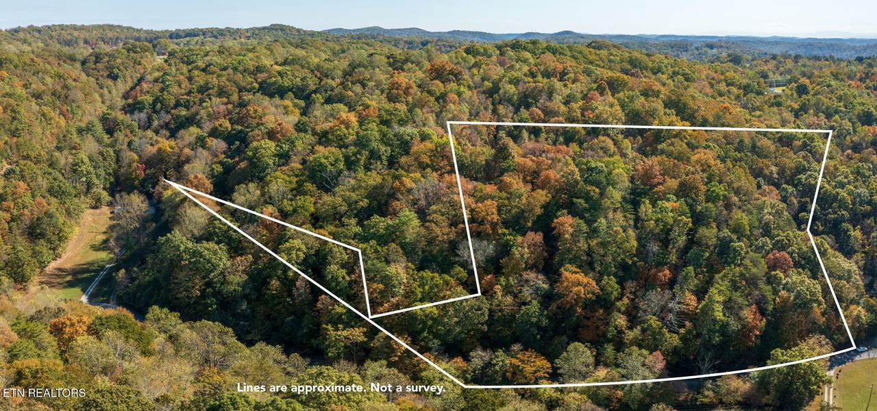  Strong Hollow Lane - Photo 1