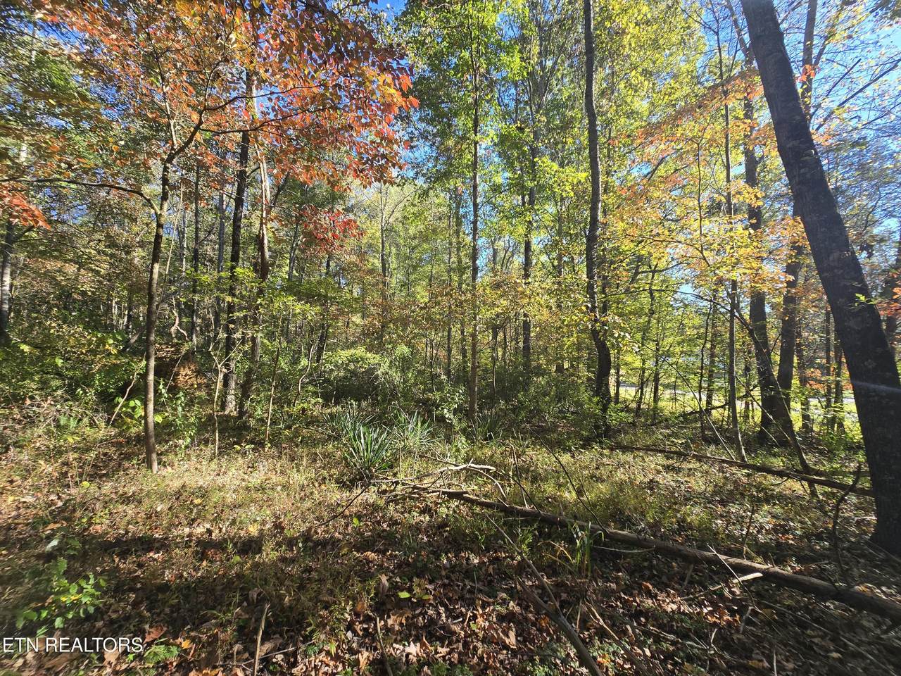 0 Horseshoe Bend Rd - Photo 1