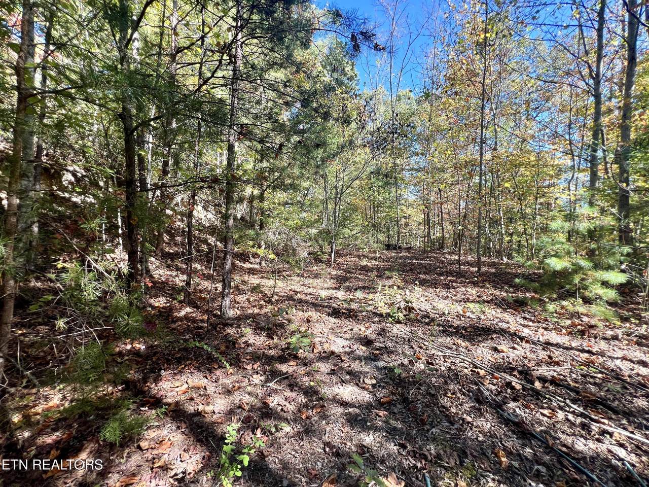 1844 Creek Hollow Way Way - Photo 1