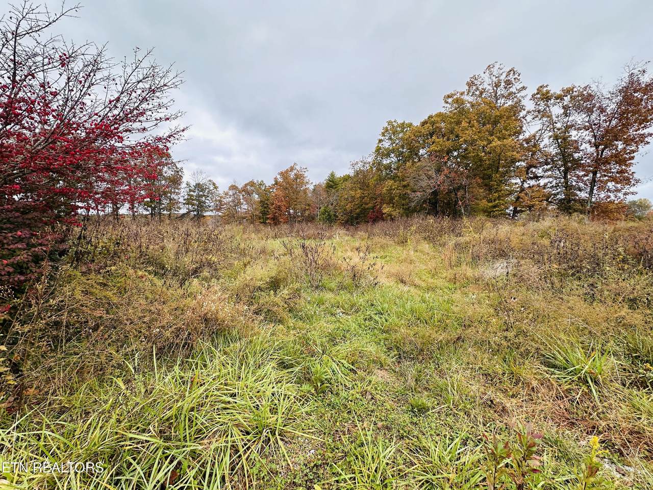 4.14 Acres Nashville Hwy - Photo 1