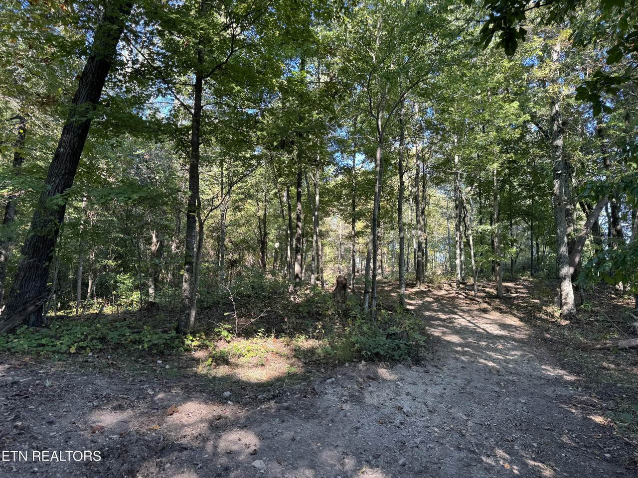 641 Indian Ridge Rd - Photo 1