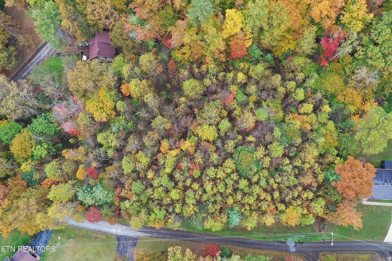  Hilltop Drive - Photo 1