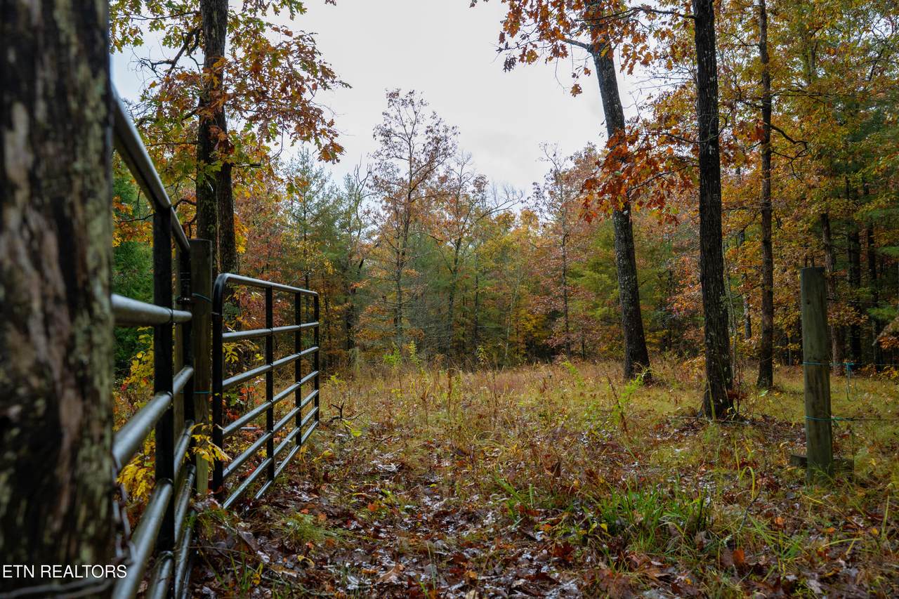00 Trailhead Lane - Photo 1