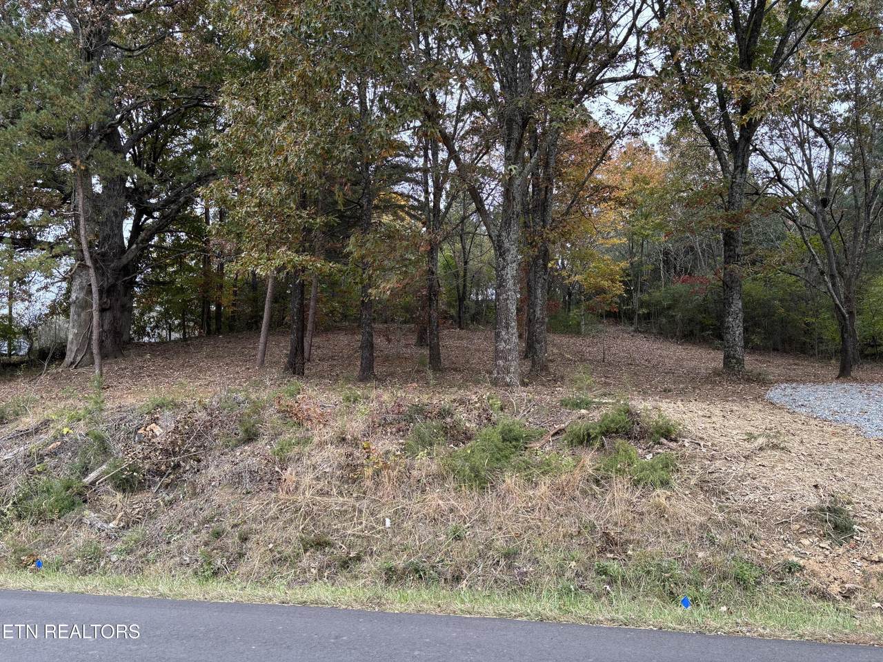 282 Long Hollow Rd - Photo 1