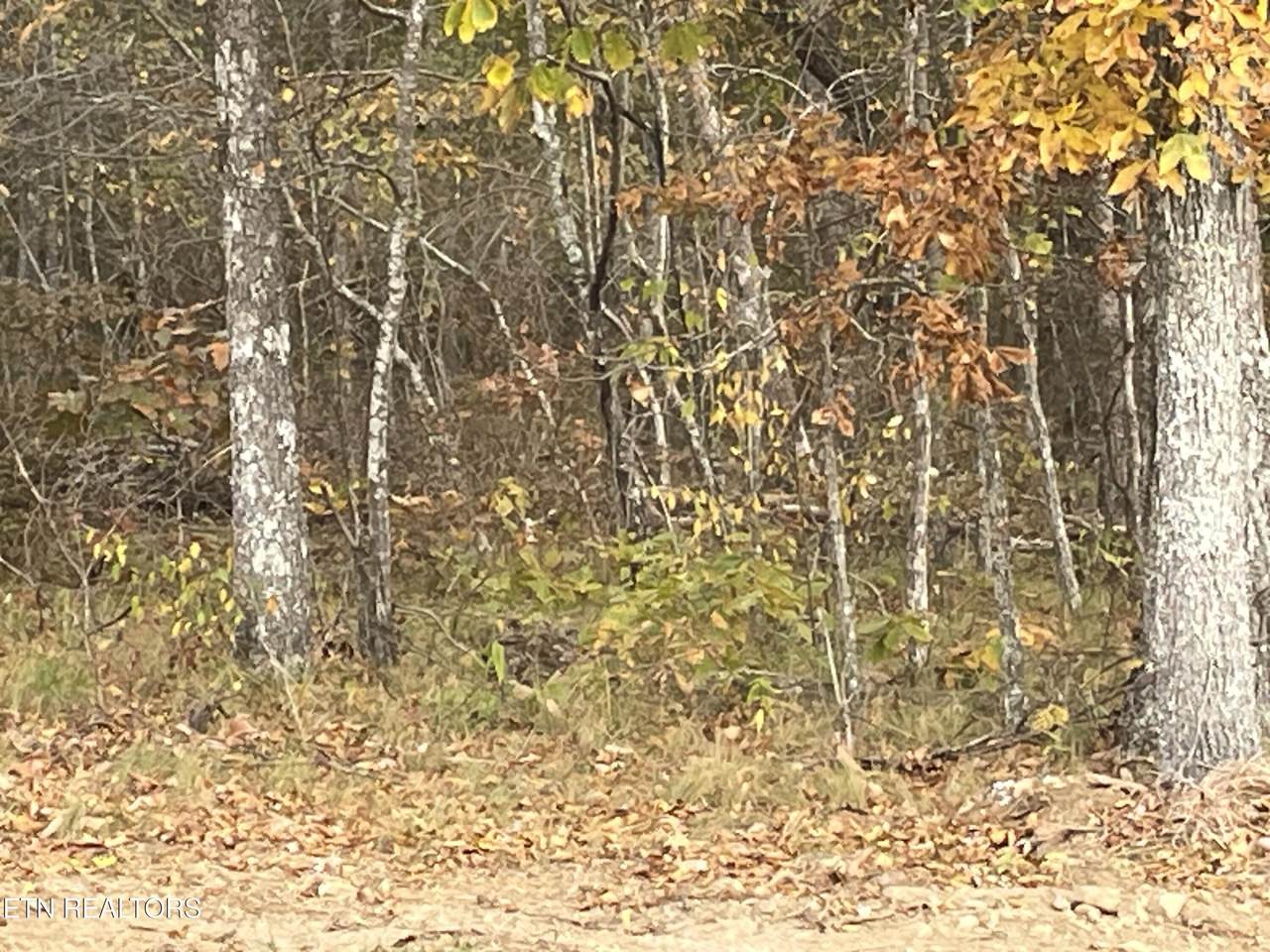 6504 Topez Drive - Photo 1