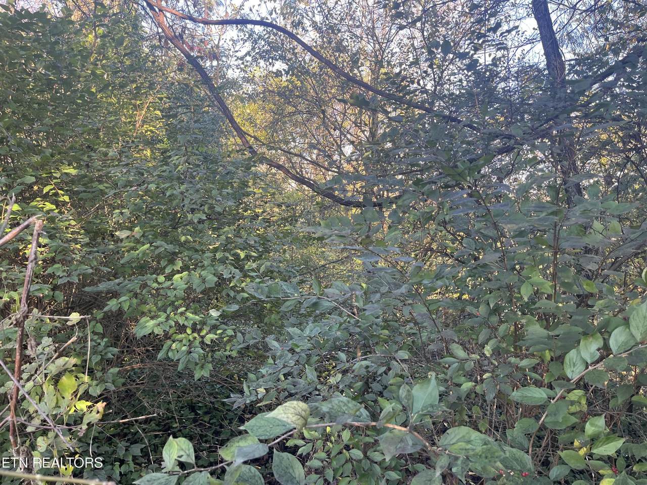 2917 Brooks Ave - Photo 1