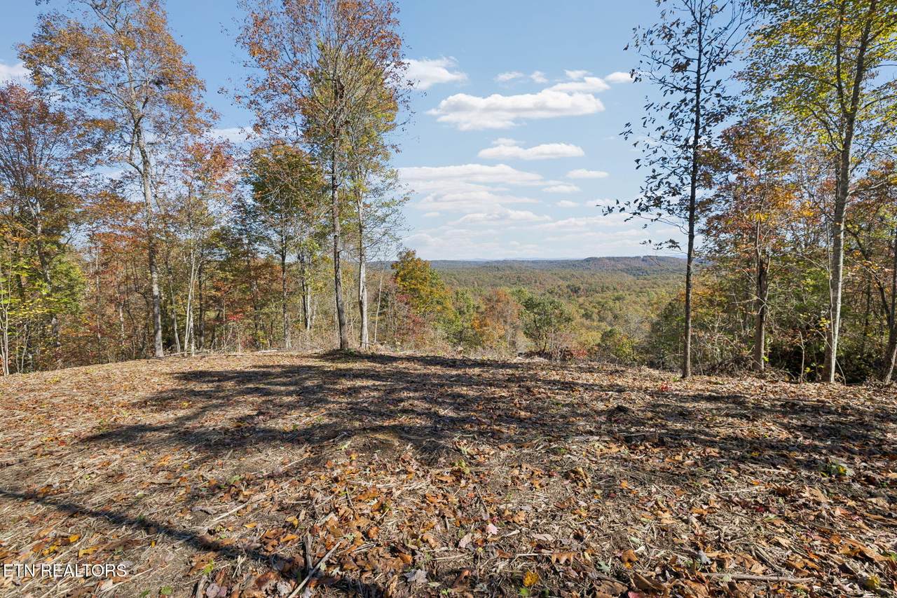  Sheep Ranch Rd - Photo 1
