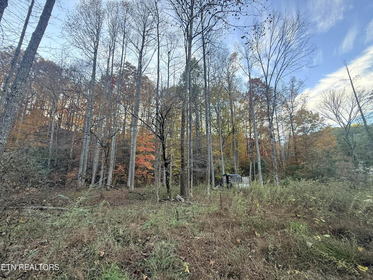 Lot 42/43 Deerfoot Rd - Photo 1
