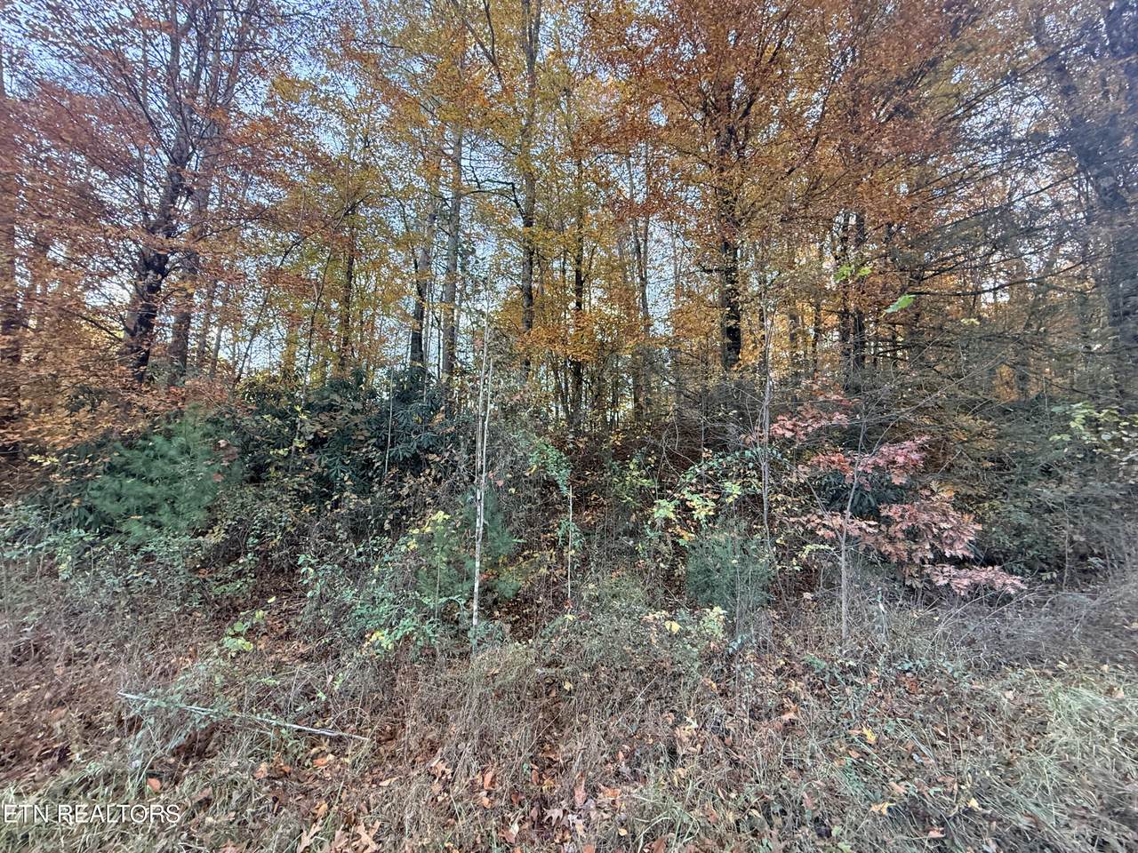https://bt-photos.global.ssl.fastly.net/kaar/1280_boomver_1_1321123-2.jpg