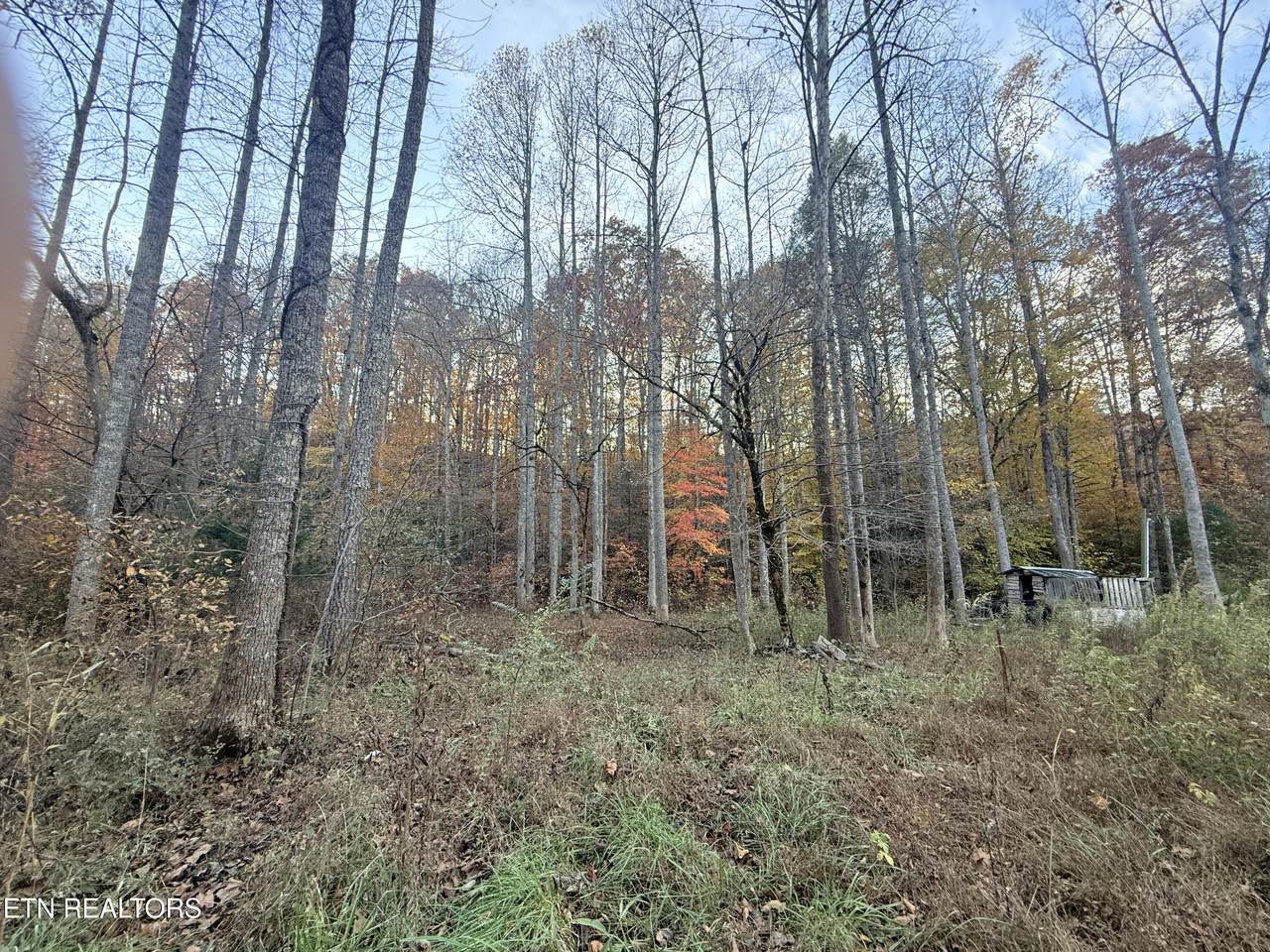 https://bt-photos.global.ssl.fastly.net/kaar/1280_boomver_1_1321123-2.jpg