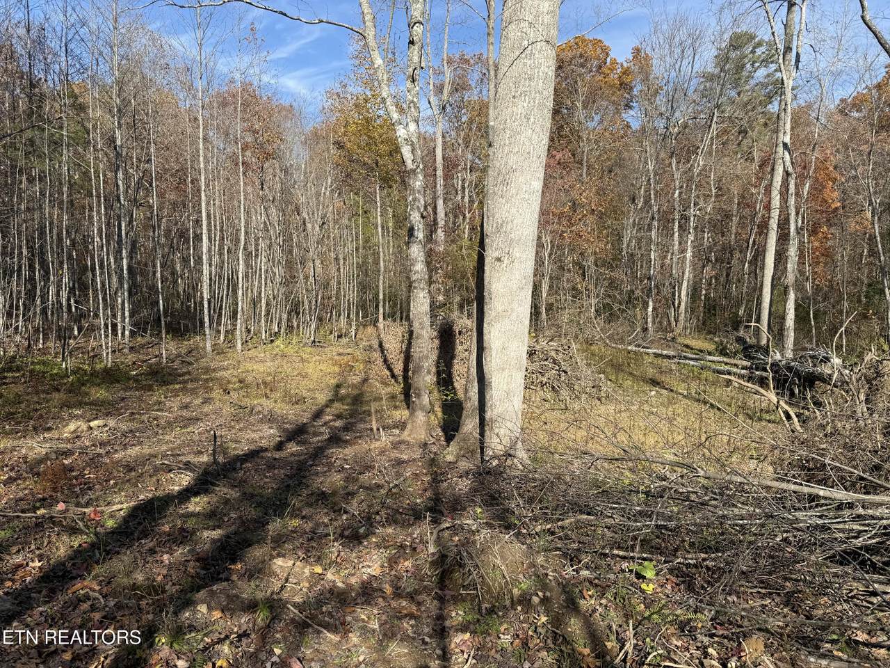 608 Belmont Drive - Photo 1