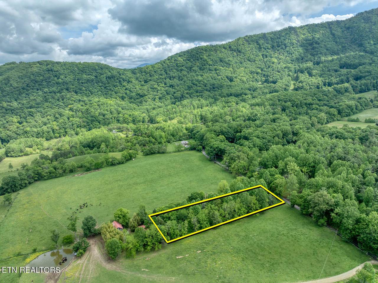 1153 Schoolhouse Gap Rd - Photo 1