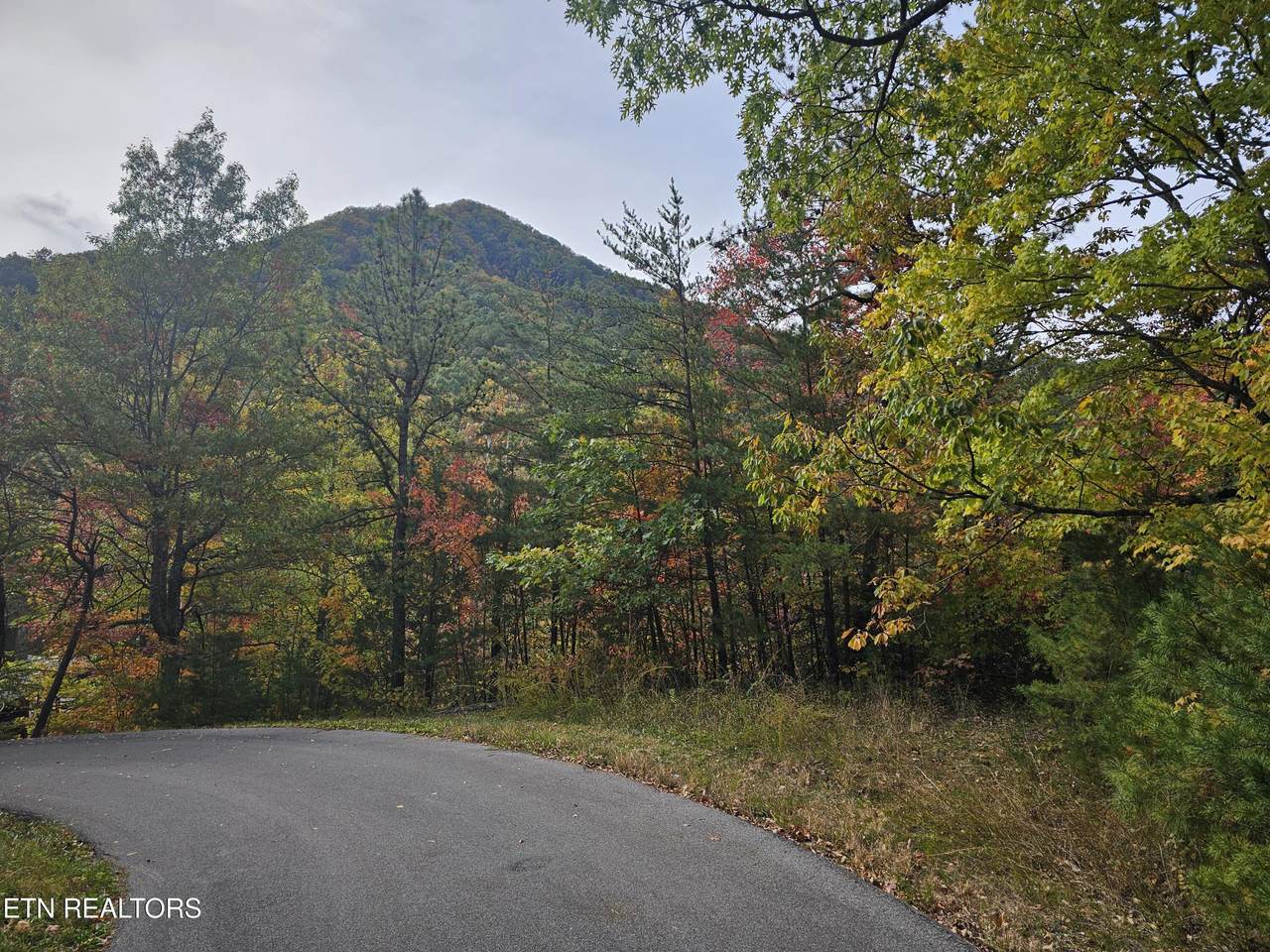  Denton Court - Photo 1