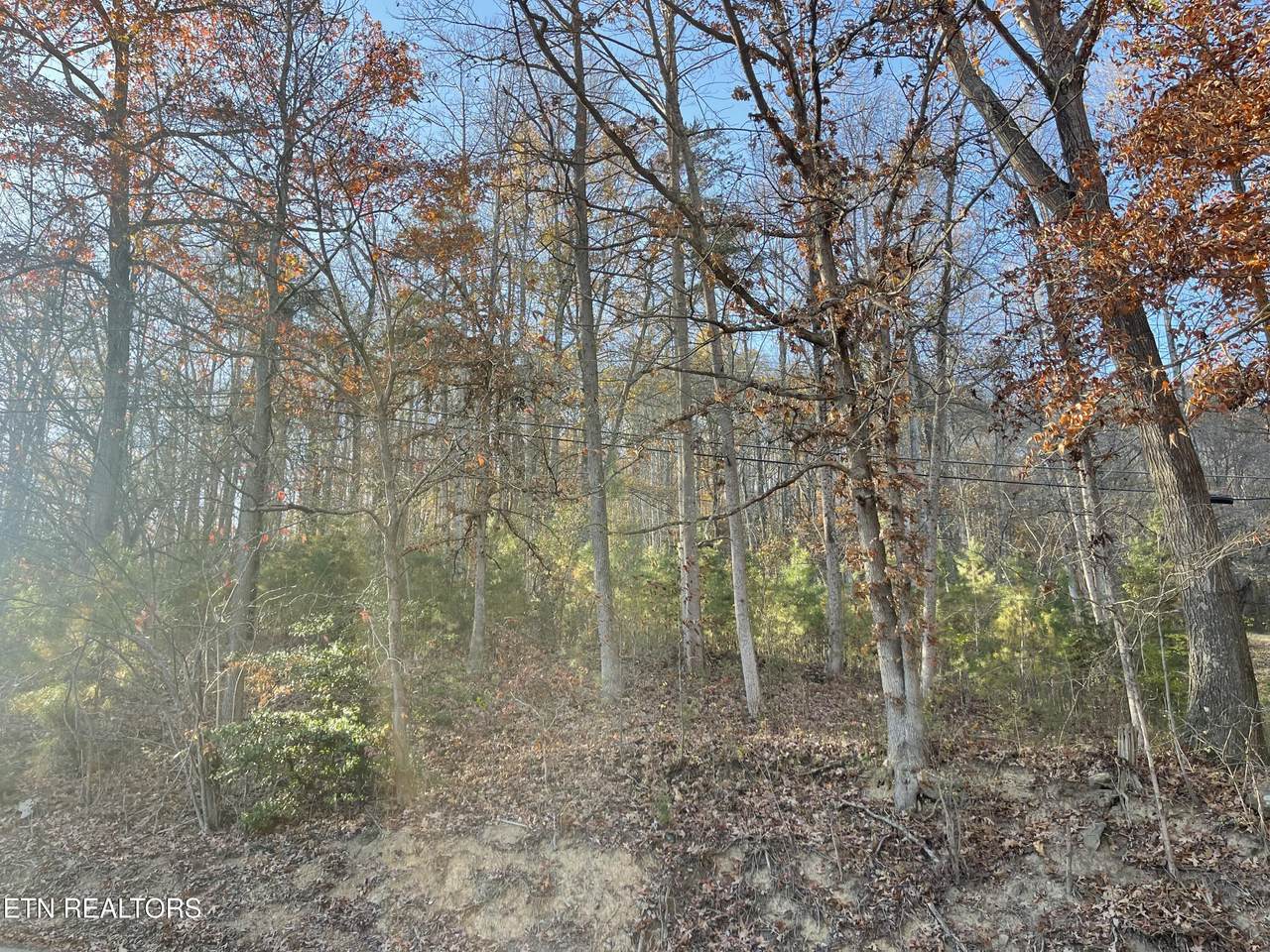 0 Holiday Lane - Photo 1