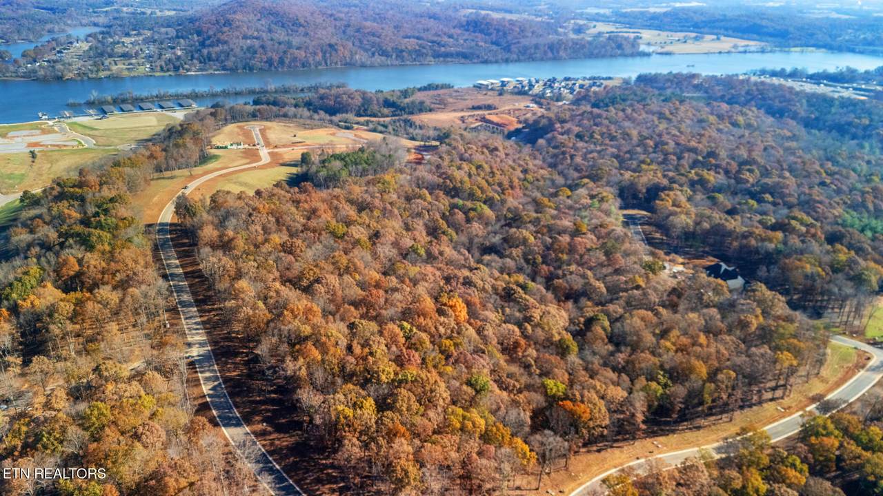 2908 Old Dogwood Tr - Photo 1