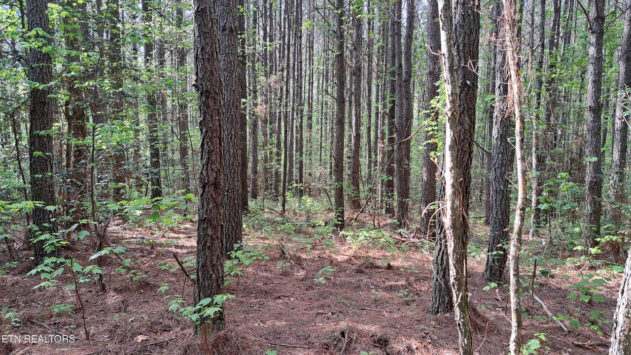 Lot 14 Airport Rd (Pca) - Photo 1