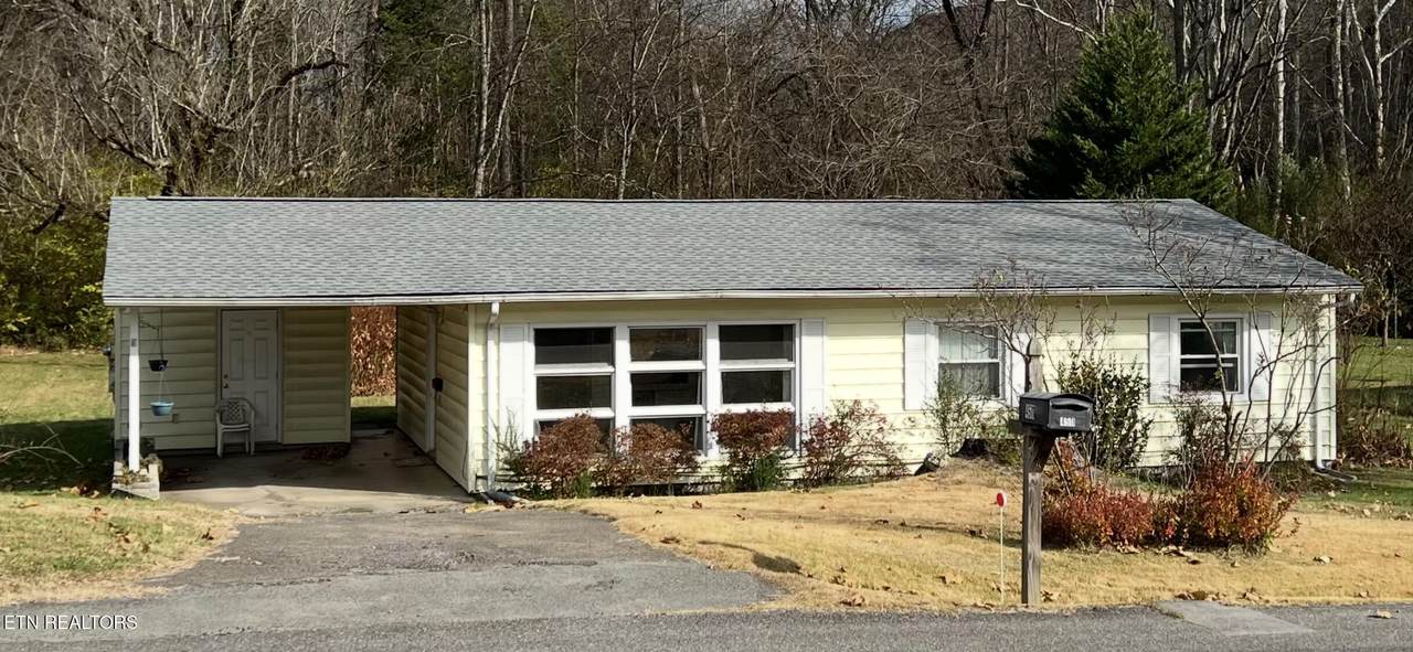 4511 Fawnie Lane - Photo 1