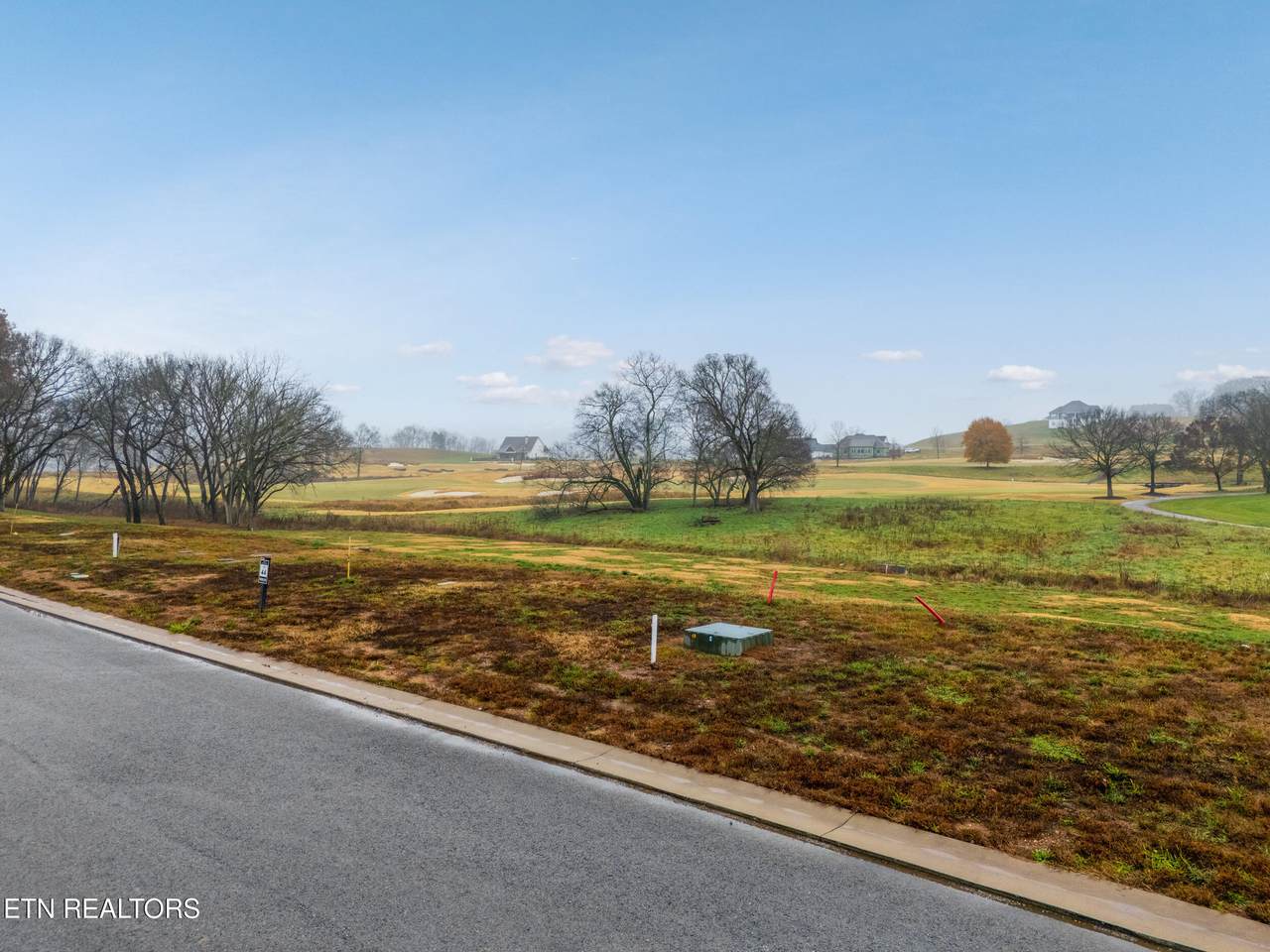 2920 Chestnut Lane - Photo 1