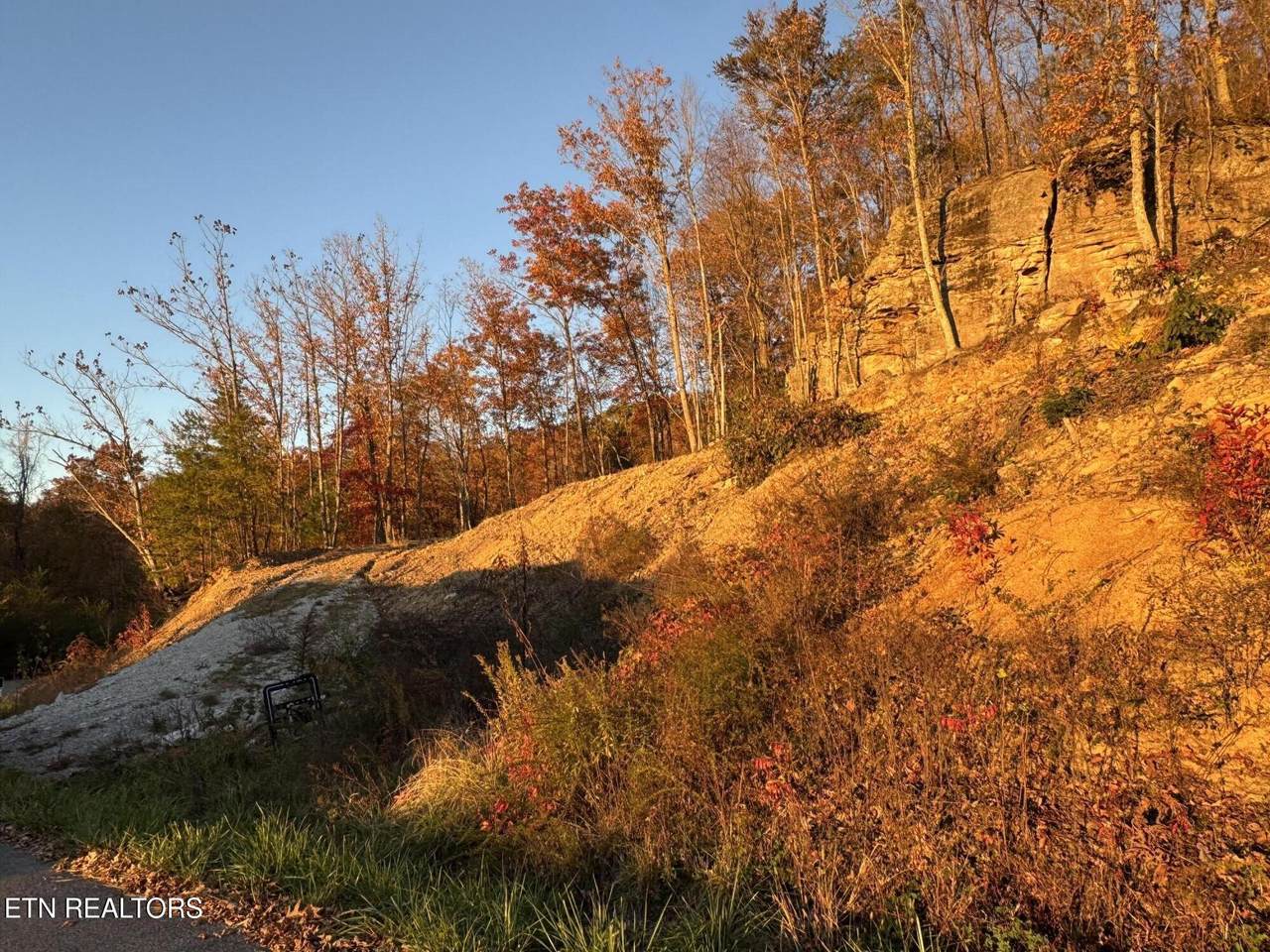  Big Ridge Rd - Photo 1