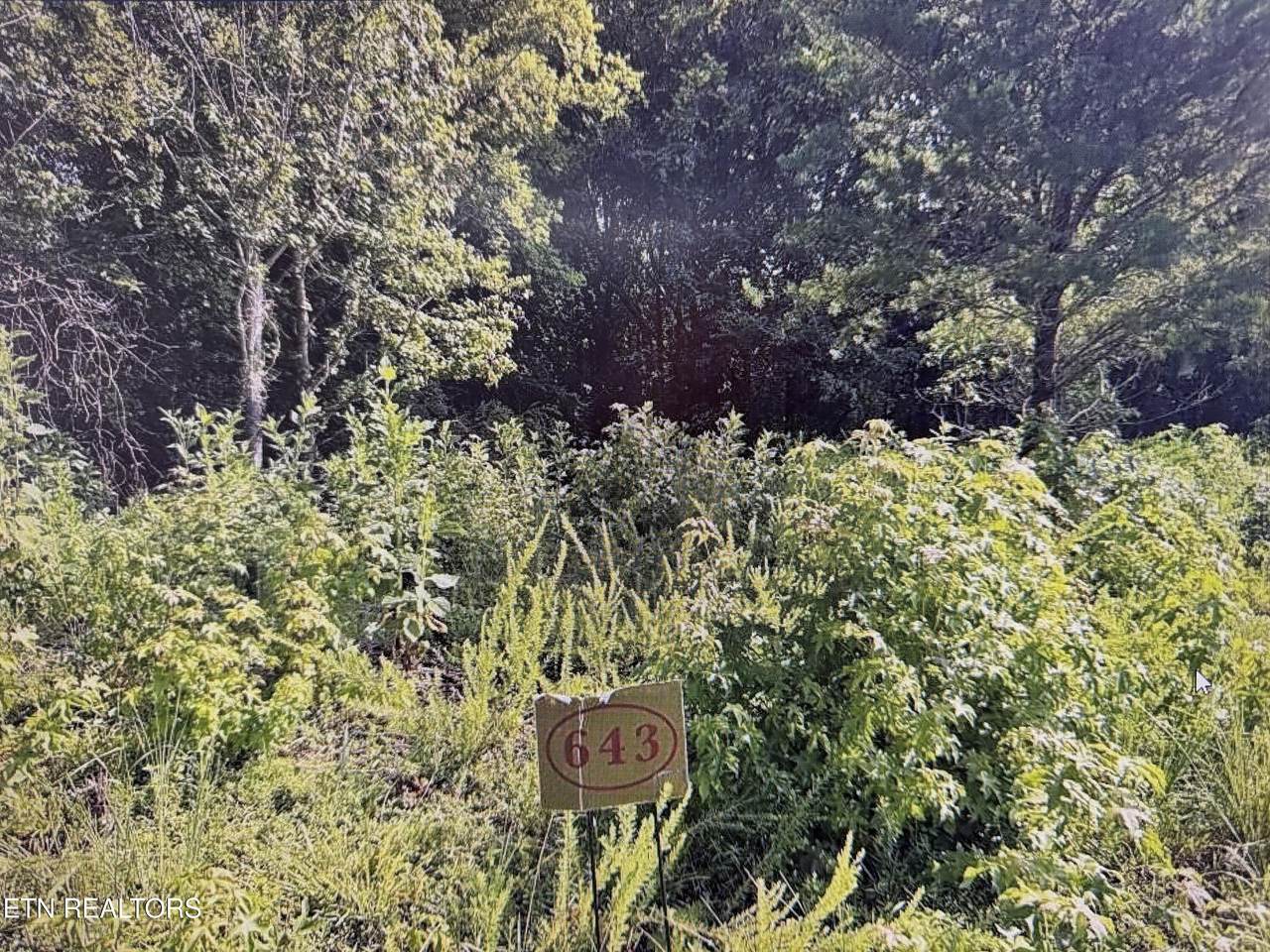 204 Majestic View Drive - Photo 1