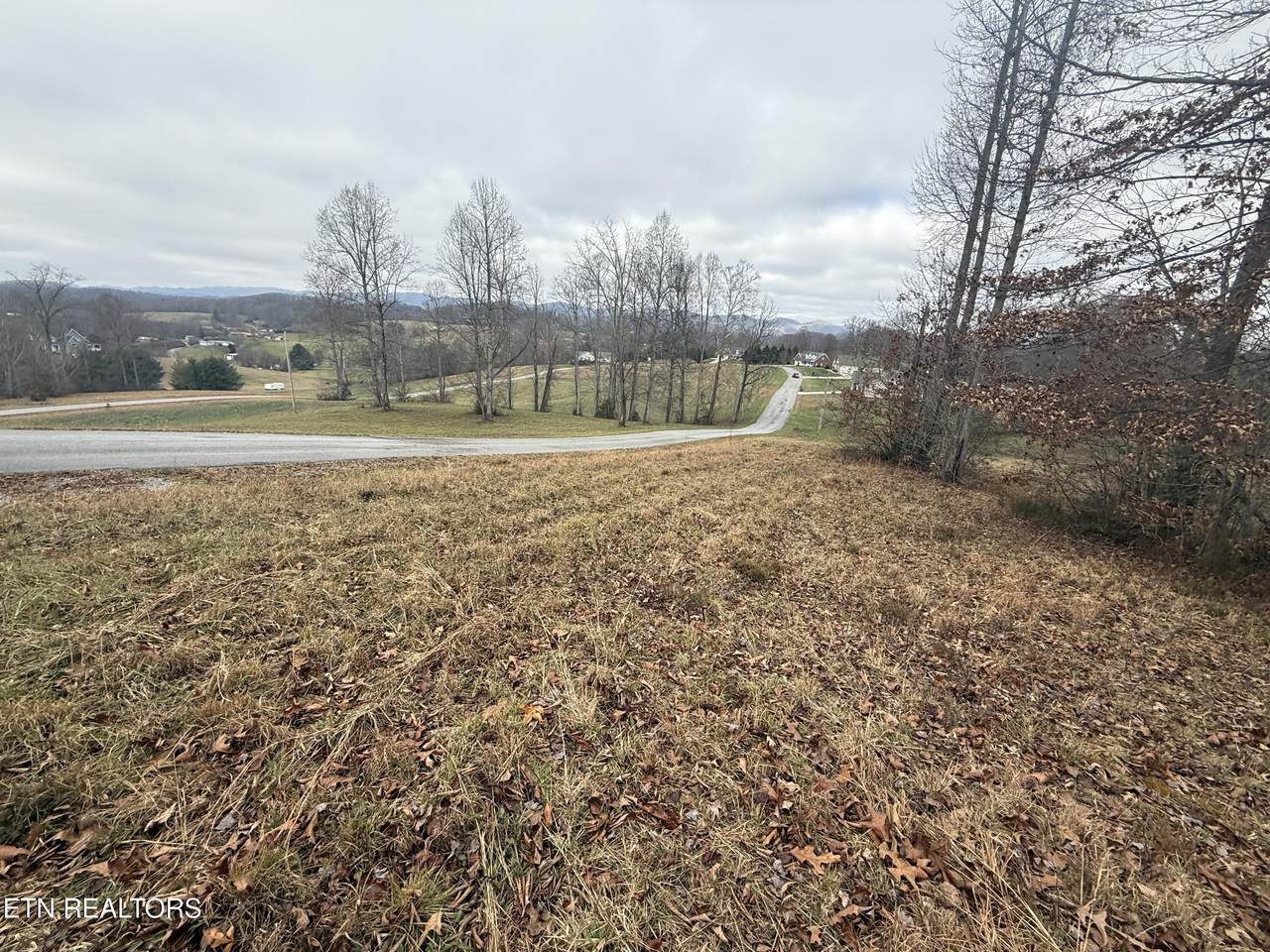 Lot #6 Oak Point Drive - Photo 1