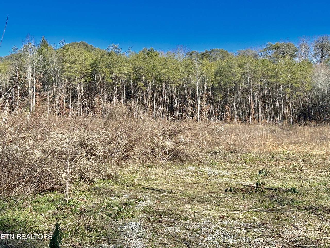 504 Wiggins Rd - Photo 1