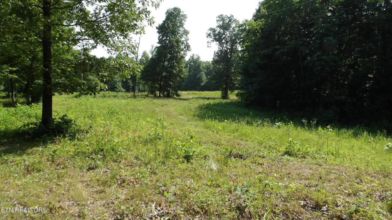 13.87ac Pleasant Cemetery Lane - Photo 1