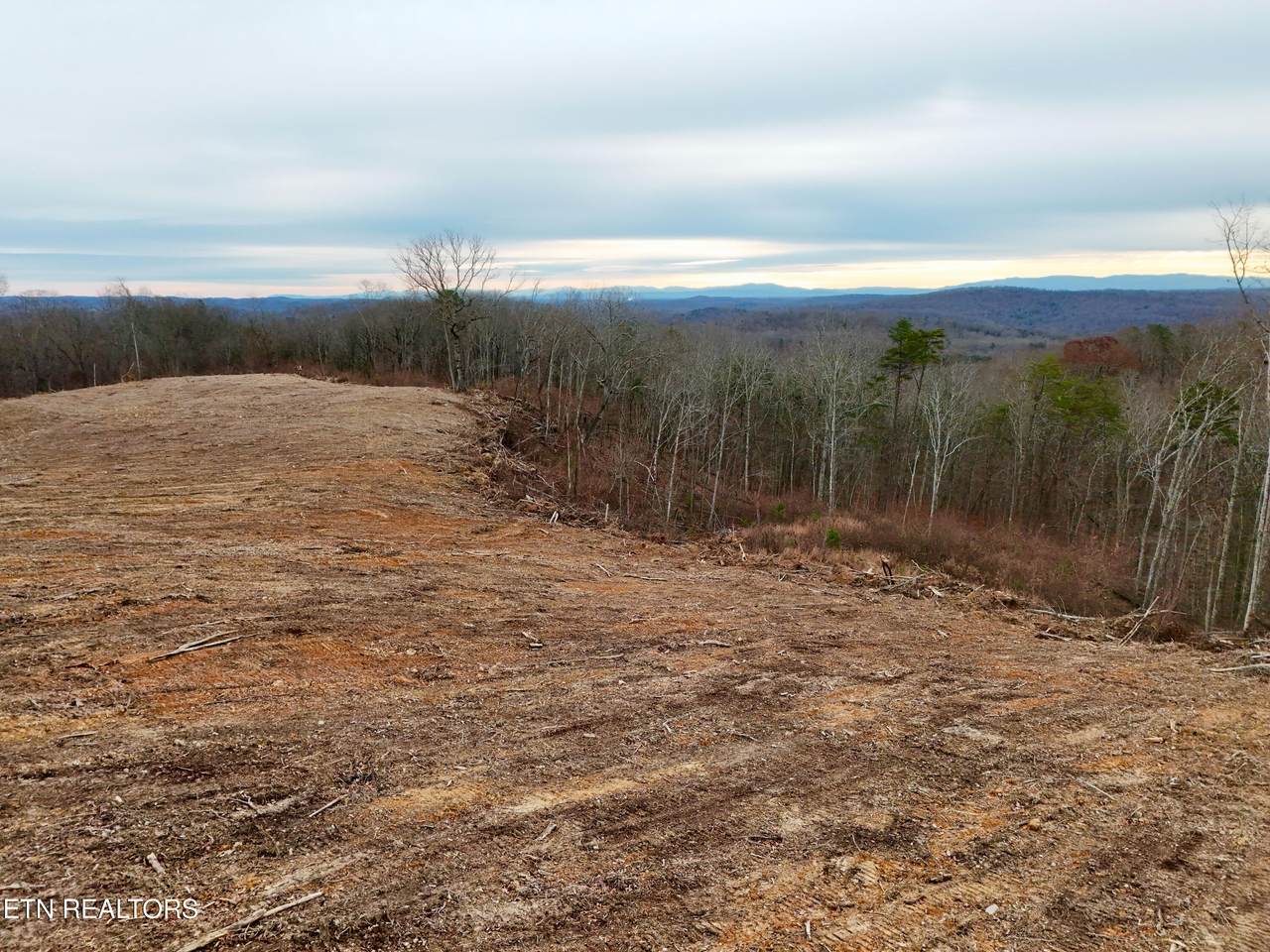  Laurel Bluff Rd - Photo 1